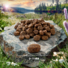 Purizon Adult kurczak i ryba  400g
